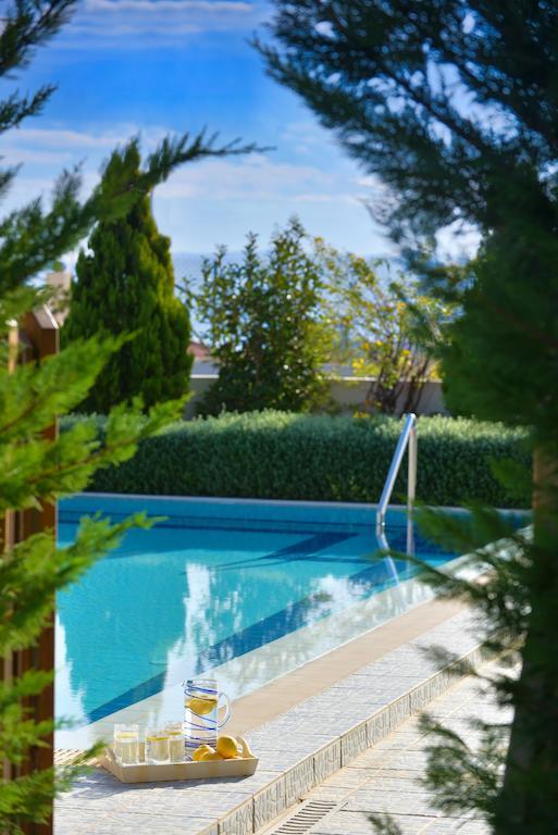 Danae Villas Hersonissos  Bagian luar foto